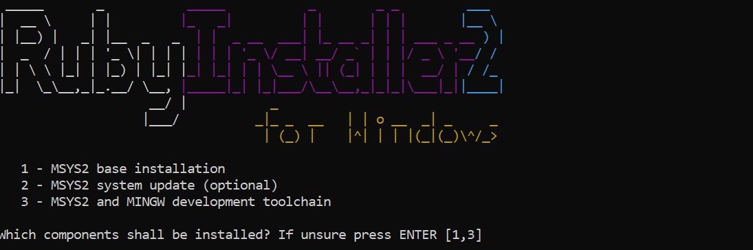 MSYS2 installation and the development toolchain setup.