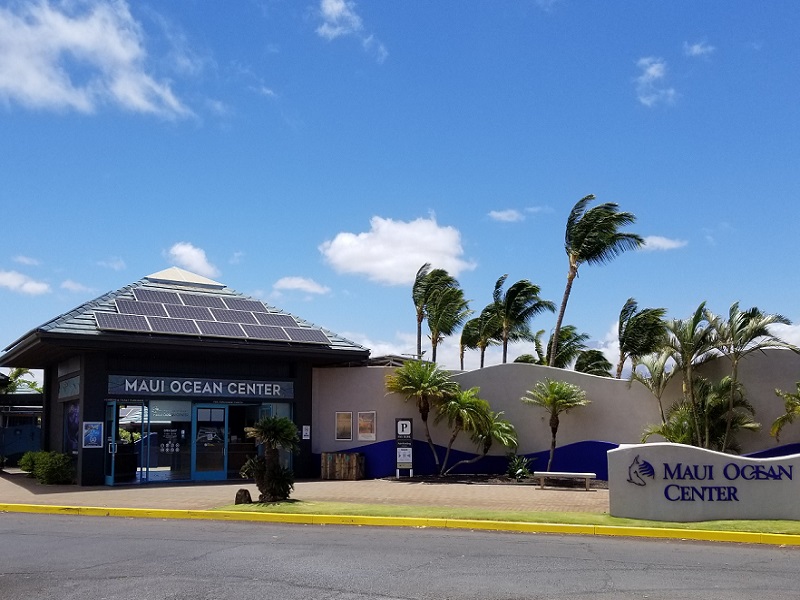 Maui Ocean Center.