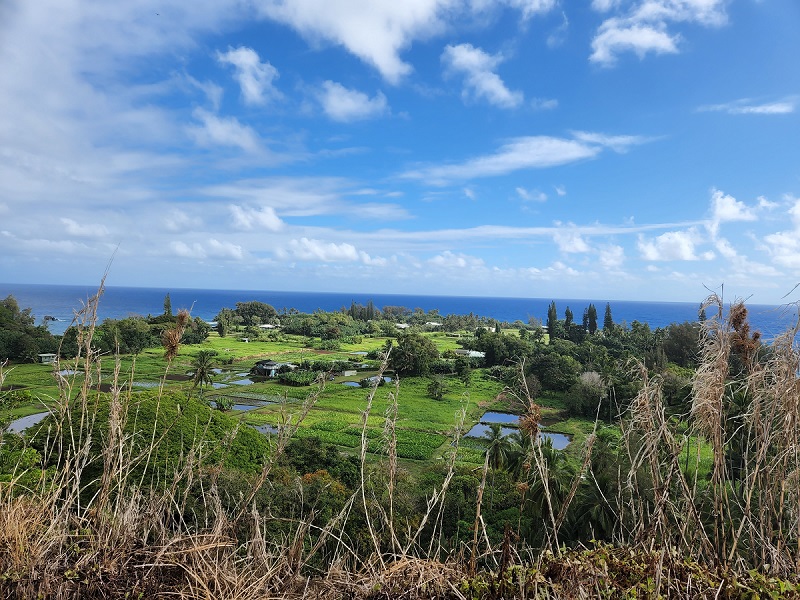 Overlook at Ke'anae pennisula.