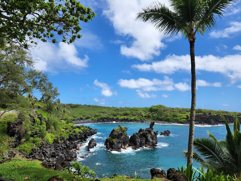 Black Sand Beach at Waiʻānapanapa State Park.