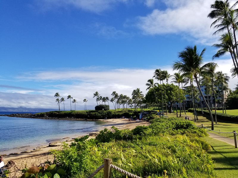 Kapalua Bay beach.